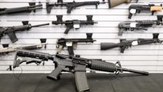 El Senado de Virginia rechaza la prohibición de las armas de asalto