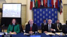 Llegan las elecciones de la OEA: ¿quiénes son los candidatos?