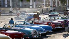 Cuba pone precio a los automóviles: 38,000 dólares por un Kia Picanto usado
