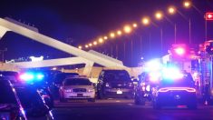 Dos mujeres fallecen en Miami dentro de un automóvil que cayó de un ferry