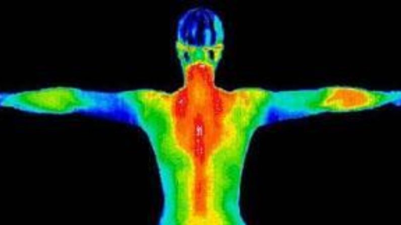 La termografía intenta descifrar lo que está sucediendo dentro del cuerpo examinando de cerca las marcas de calor.(Marceflore/Wikimedia Commons/CC BY-SA 4.0)