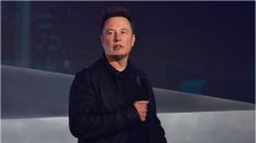 Elon Musk quiere talento, no diplomas