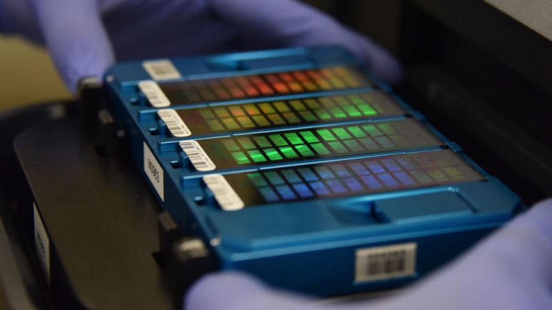 En esta imagen tomada el 22 de agosto de 2018, un técnico coloca una matriz que contiene información de ADN en un escáner en GeseDNA Technology en Beijing, China. (GREG BAKER / AFP / Getty Images)