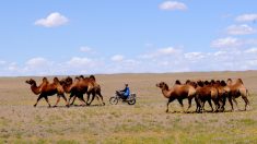 Mongolia mágica y mística: 10 cosas que debe saber