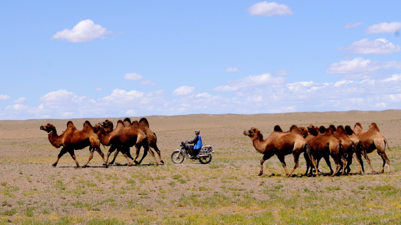 Desierto de Mongolia (hbieser /pixabay)