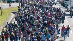 Más de 80,200 salvadoreños intentaron entrar ilegalmente a EE.UU. en 2022