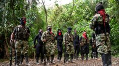 Zozobra se mantiene en varias regiones colombianas por «paro armado» del ELN