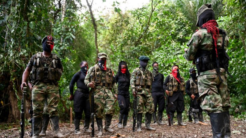 Miembros del frente Ernesto Che Guevara, perteneciente a la guerrilla del Ejército de Liberación Nacional (ELN), se alinean en la selva del Chocó, Colombia, el 23 de mayo de 2019. (RAUL ARBOLEDA/AFP vía Getty Images)