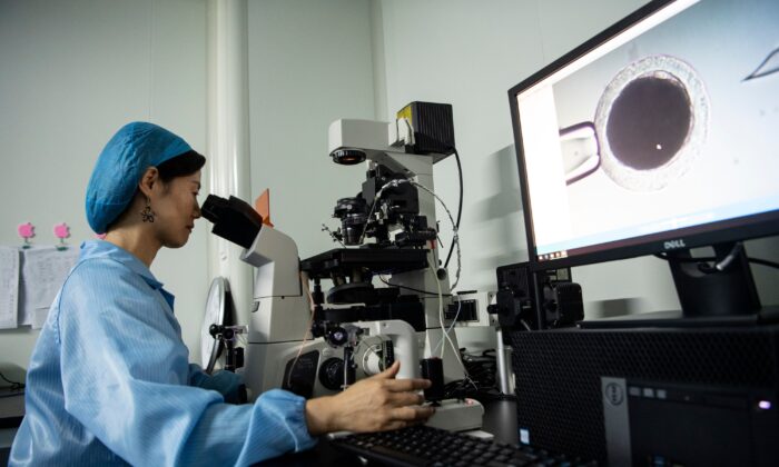 Técnico de laboratorio trabaja en la empresa china Sinogene en Beijing el 2 de septiembre de 2019. (STR/AFP vía Getty Images)