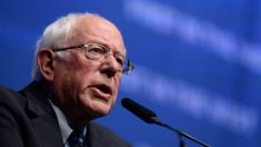 El rencor en Nevada podría perjudicar a Sanders