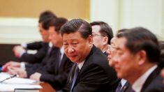 Régimen chino insinúa luchas políticas mientras Xi Jinping critica a funcionarios por no contener virus