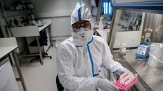 Argelia confirma el primer caso de coronavirus en el norte de África