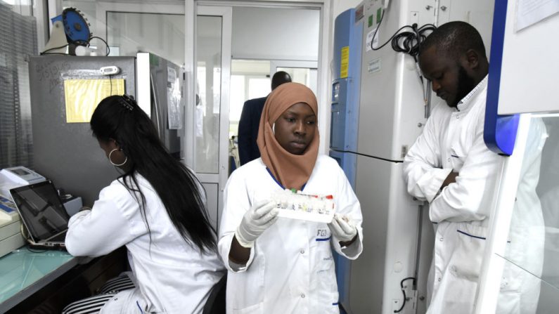 Los miembros del personal científico trabajan en un laboratorio seguro, investigando el coronavirus, en el Instituto Pasteur de Dakar el 3 de febrero de 2020. El Instituto Pasteur de Dakar, designado por la Unión Africana como uno de los dos centros de referencia en África para la detección del nuevo coronavirus aparecido en China. (Foto de SEYLLOU/AFP a través de Getty Images)
