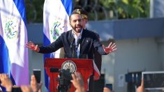 EE.UU. rechaza medidas de fuerza contra el legislativo en El Salvador