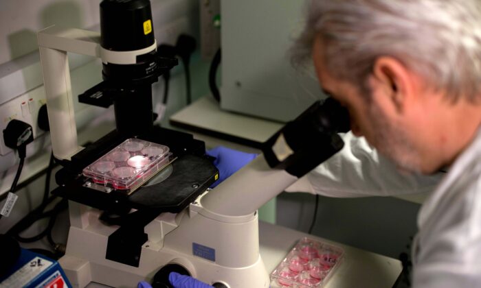 Un médico utiliza un microscopio para observar bacterias que contienen fragmentos de ADN de coronavirus en un laboratorio de investigación de la Escuela de Medicina del Imperial College (ICSM) en Londres el 10 de febrero de 2020. (Tolga Akmen/AFP vía Getty Images)