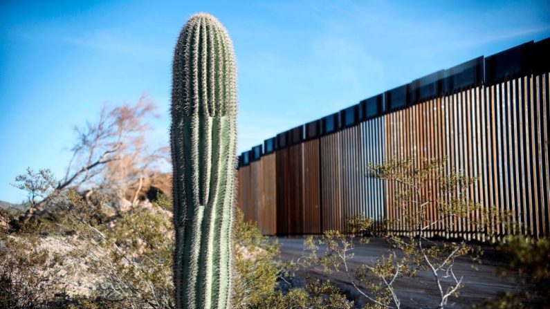 El muro fronterizo México-Estados Unidos se ve en el Parque Nacional Organ Pipe al sur de Ajo, Arizona, el 13 de febrero de 2020. (Sandy Huffaker/AFP a través de Getty Images)
