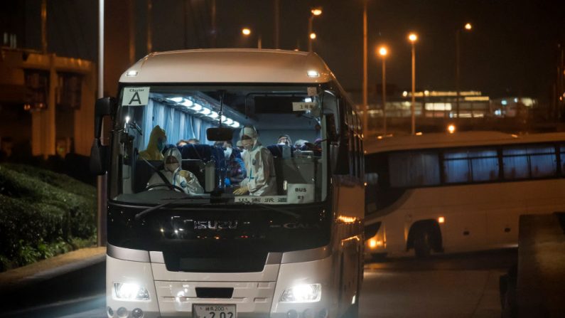 Los autobuses que transportan a ciudadanos estadounidenses desde el crucero en cuarentena Diamond Princess llegan al aeropuerto de Haneda el 16 de febrero de 2020 en Tokio, Japón. (Tomohiro Ohsumi/Getty Images)