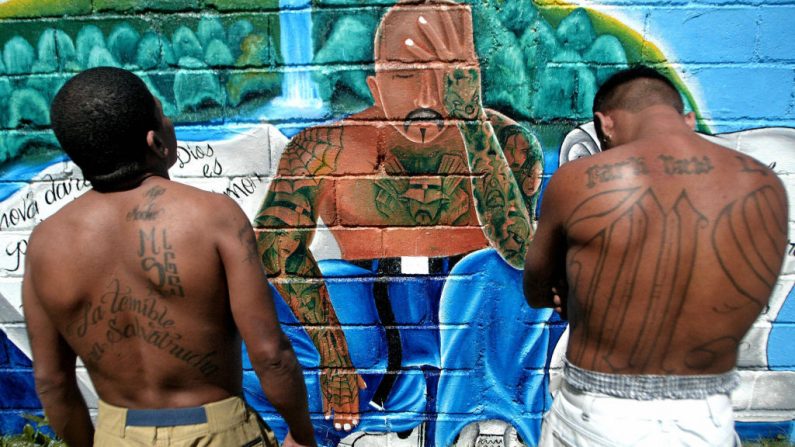 Dos miembros de la Mara Salvatrucha (MS-13) muestran sus tatuajes en una unidad de la Penitenciaria Nacional en Támara, a 30 km de Tegucigalpa (Honduras) el 01 de febrero de 2006. (ELMER MARTINEZ/AFP vía Getty Images)