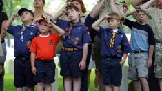 Conmoción en los Boy Scouts: los agresores podrían seguir trabajando con menores en EE.UU.