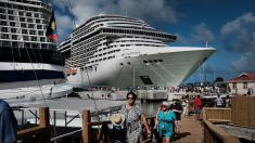 Brote de mal gastrointestinal obliga un crucero con 228 pasajeros a regresar a puerto en EE.UU.