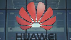 Rechazan demanda de Huawei contra veto para negociar con agencias de EE.UU.