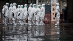 China reporta primer caso de gripe aviar H5N6 en granja avícola en Sichuan