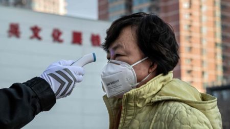 Viceprimer ministra china pide a Wuhan que tome la temperatura de cada persona en la ciudad