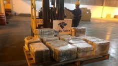 Aprehenden 300 kilos de cocaína en el puerto de Río de Janeiro con destino a España