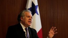 Almagro pide ayuda humanitaria para «7 millones de personas que están en riesgo de hambre» en Venezuela