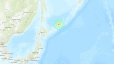 Un sismo de magnitud 6.9 sacudió una región cerca de Japón y Rusia, dice el USGS