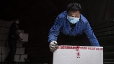 Funcionarios chinos autorizados para confiscar bienes personales para contrarrestar crisis de coronavirus