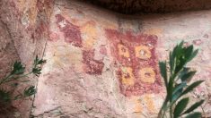 Multan canal religioso con USD 465,000 por borrar arte rupestre de 4000 años de antigüedad