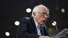 Sanders: Los partidarios de Klobuchar y Buttigieg, son bienvenidos