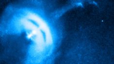 Astrónomos analizan una ráfaga de radio que llega cada 16 días y viene de 500 millones de años luz