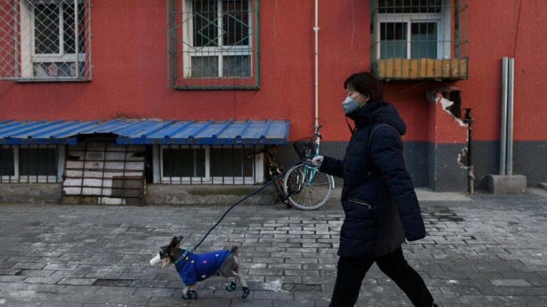 Una mujer usa una máscara facial mientras pasea a su perro por una calle en Beijing, China, el 4 de febrero de 2020. (Greg Baker/AFP a través de Getty Images)
