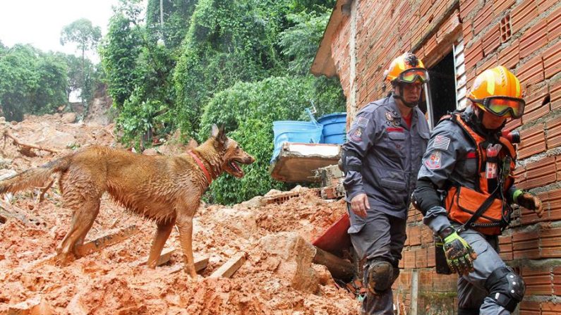 Vista este martes de un bombero buscando a los desaparecidos tras el derrumbe en el "Morro do Macaco Molhado", en Guarujá (Brasil). EFE/ Fernanda Luz