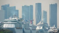 Florida pide al Gobierno de EE.UU. que permita reanudar viajes de cruceros
