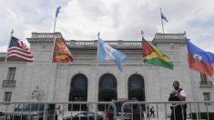 Países de Caricom piden aplazar elecciones del viernes en la OEA por el virus del PCCh