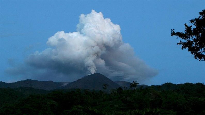 De 3.560 metros de altura, la actividad del Reventador se caracteriza por generar explosiones, emisiones de gases y ceniza, flujos de lava y lahares del material volcánico acumulado. EFE/José Jácome/Archivo
