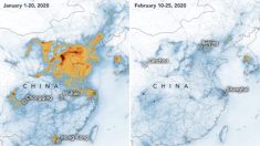 Imágenes de la NASA muestran descenso de la polución sobre China en medio del brote de coronavirus