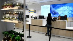 IKEA suspende temporalmente empleo para 6000 personas en España