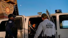 Descubren 81 inmigrantes ilegales ocultos en 2 camiones que circulaban por una carretera de Texas