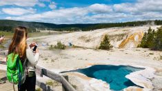 Parques Nacionales de Yellowstone y Grand Teton cerrados a visitantes en medio de la pandemia