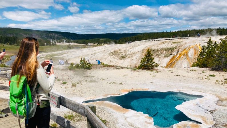 Una mujer toma fotos en el Parque Nacional Yellowstone en Wyoming el 11 de junio de 2019. (DANIEL SLIM/AFP vía Getty Images)