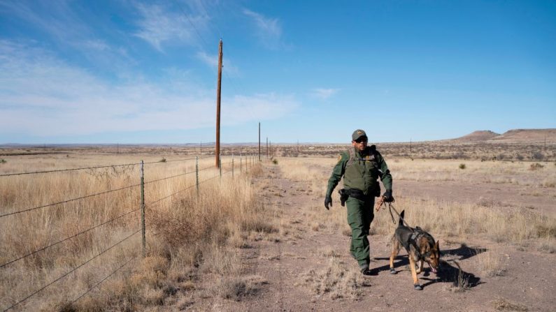 El agente de manejo de caninos, pasea a Max, un belga de Malinois, mientras persigue a los sospechosos cerca de Marfa, Texas, el 29 de enero de 2020. (PAUL RATJE/AFP vía Getty Images)