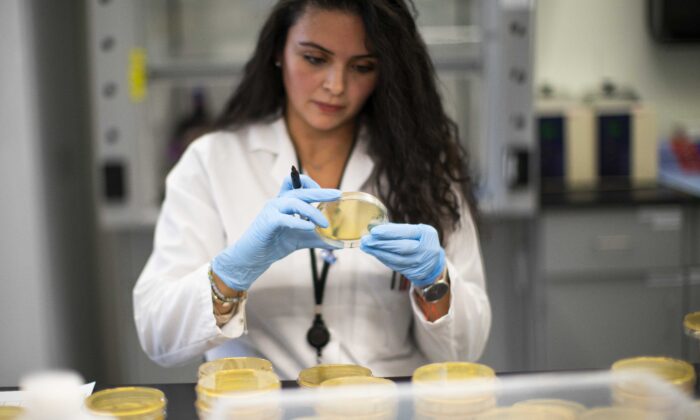 Un investigador trabaja en un laboratorio que está desarrollando pruebas para el virus del PCCh en el Centro de Salud Hackensack Meridian para el Descubrimiento y la Innovación en Nutley, Nueva Jersey, el 28 de febrero de 2020. (Kena Betancur/Getty Images)
