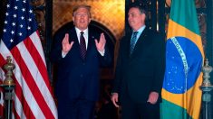 Trump y Bolsonaro renuevan alianza estratégica y apoyo a Guaidó y Bolivia