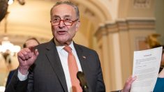 Schumer recibe quejas de carácter ético por comentario a congresistas de la Corte Suprema