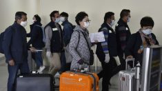 Bolivia cierra fronteras y suspende vuelos internacionales por el virus del PCCh
