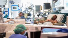“Ya dejamos de contar los cuerpos”, dice enfermera en Italia